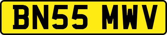 BN55MWV