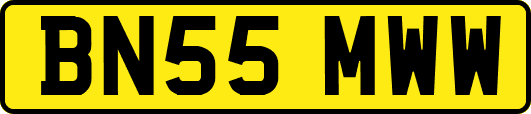 BN55MWW