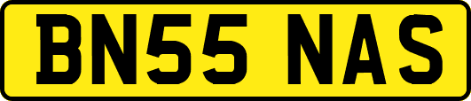 BN55NAS
