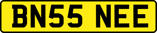 BN55NEE