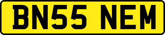 BN55NEM
