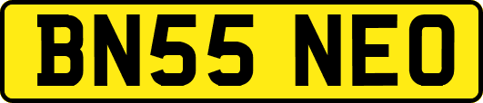 BN55NEO