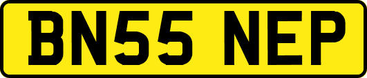 BN55NEP