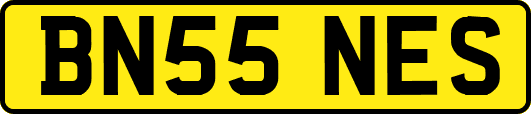 BN55NES
