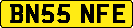 BN55NFE