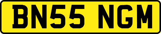 BN55NGM