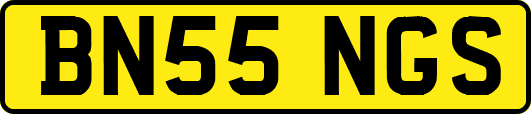 BN55NGS