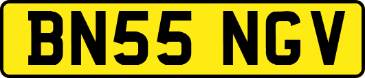 BN55NGV