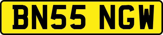 BN55NGW