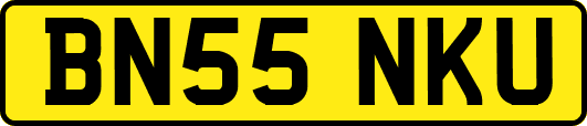BN55NKU