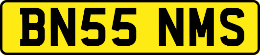 BN55NMS