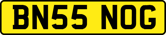 BN55NOG