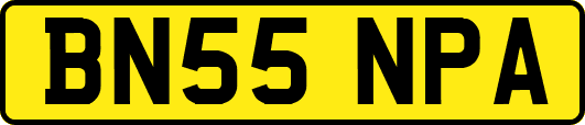 BN55NPA