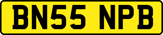 BN55NPB
