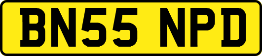 BN55NPD