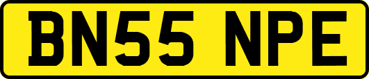 BN55NPE