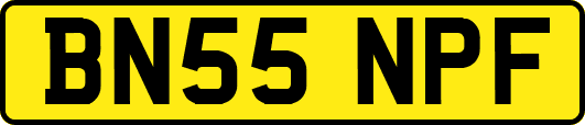 BN55NPF