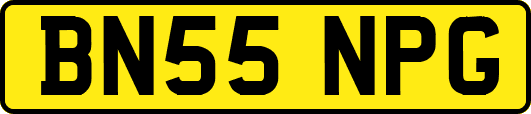 BN55NPG