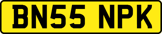 BN55NPK