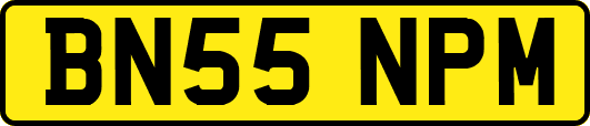 BN55NPM