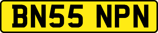 BN55NPN