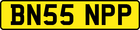 BN55NPP