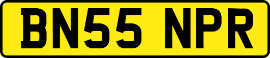 BN55NPR