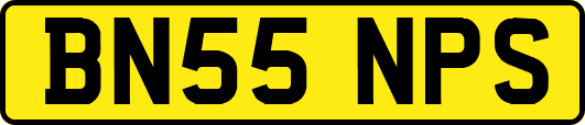 BN55NPS
