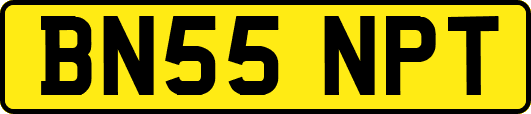 BN55NPT