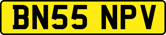 BN55NPV