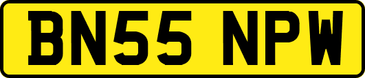 BN55NPW