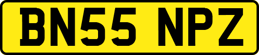 BN55NPZ