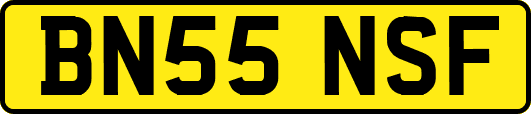BN55NSF