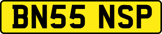 BN55NSP