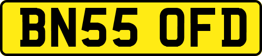 BN55OFD