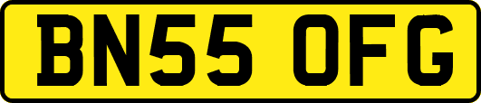 BN55OFG