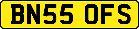 BN55OFS