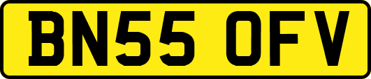 BN55OFV