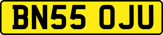 BN55OJU