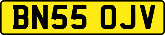 BN55OJV