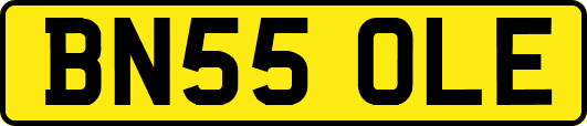 BN55OLE
