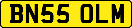 BN55OLM