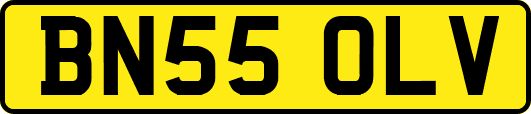 BN55OLV