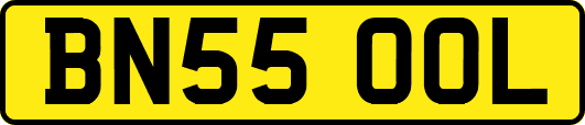 BN55OOL