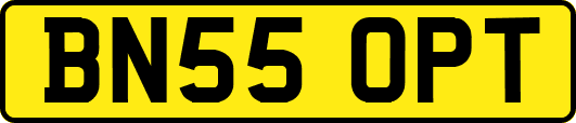 BN55OPT