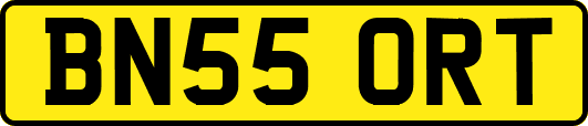 BN55ORT