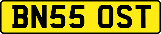 BN55OST