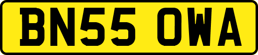 BN55OWA
