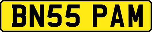 BN55PAM