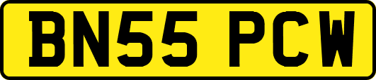 BN55PCW